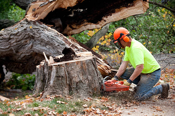 Landscape Design and Installation in Forest Grove, OR